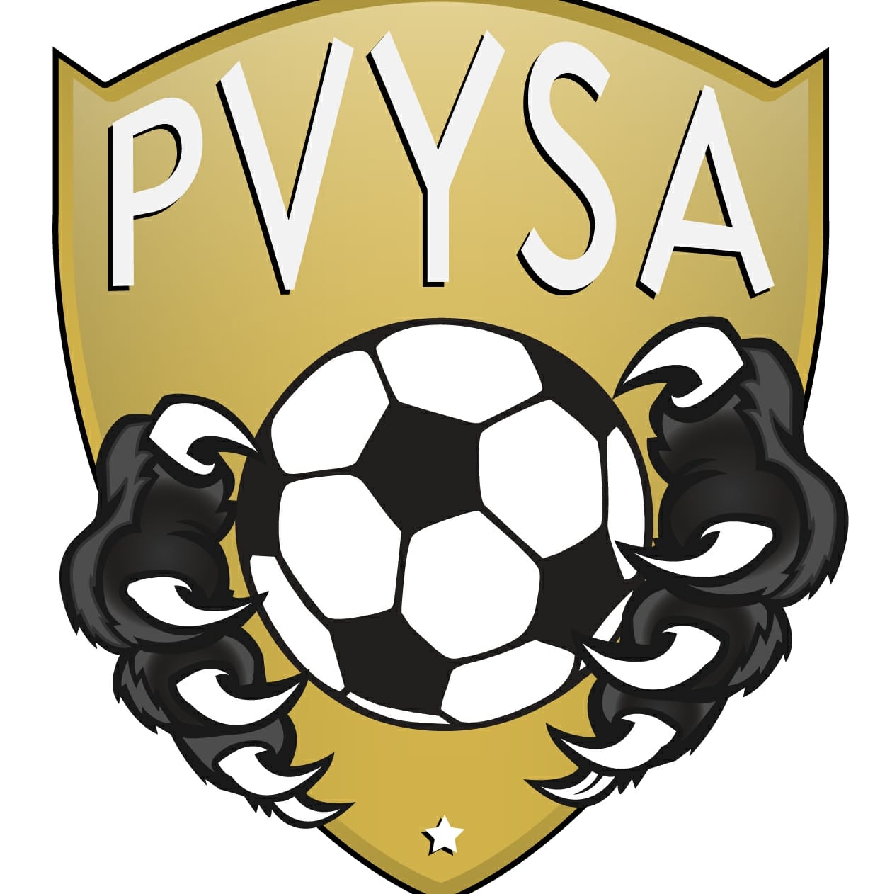 Panther Valley Summer Academy